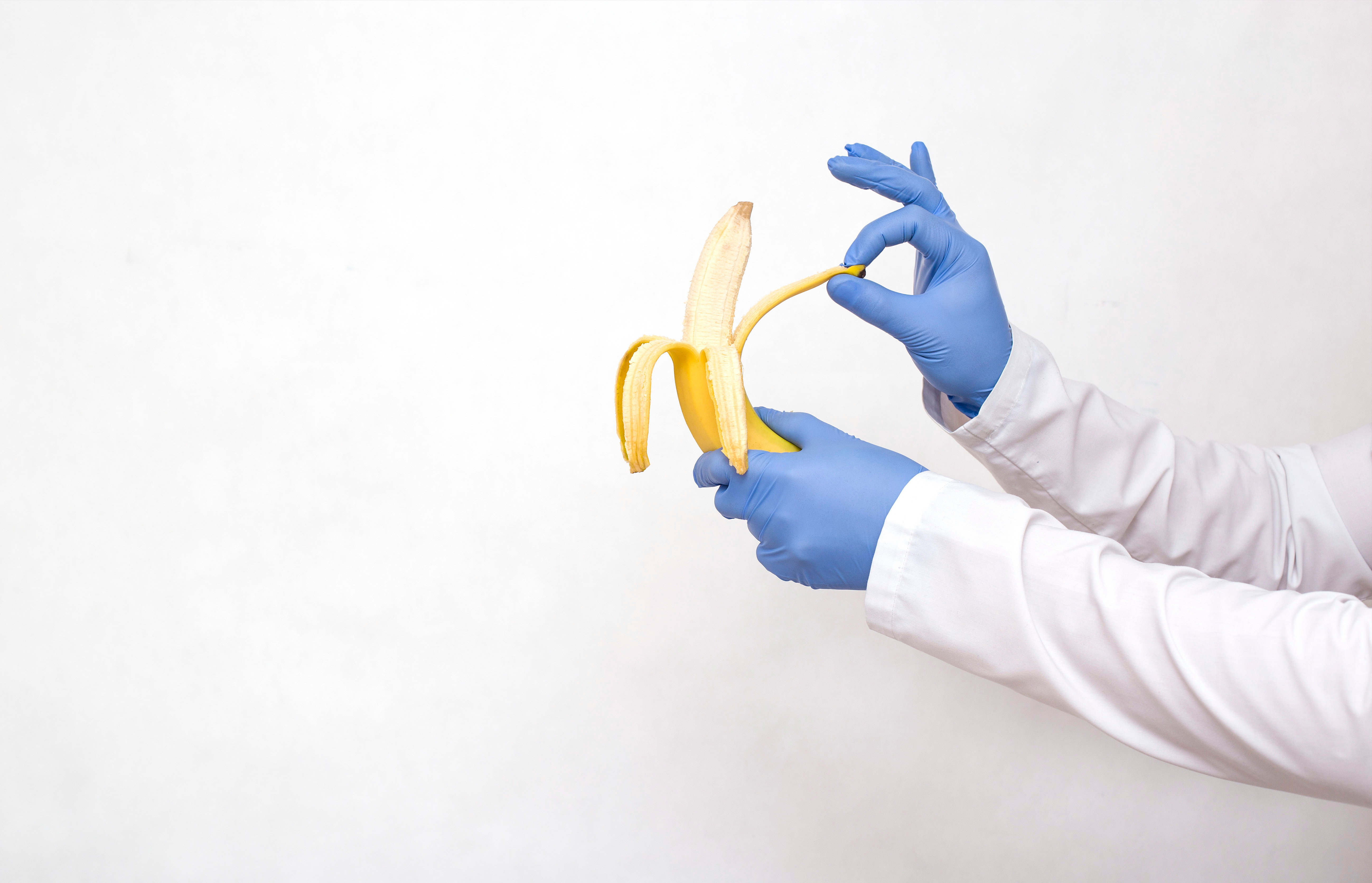 Dotkor,Holds,A,Banana,In,His,Hands,And,Peels.,The